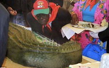 Tiệc sinh nhật 1 triệu USD của tổng thống Zimbabwe
