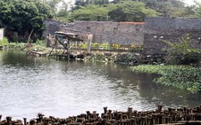 Ao hồ Hà Nội bị 