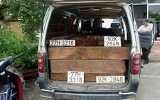 Bắt xe gắn biển số xanh giả chở gỗ lậu