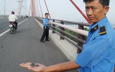 Quyết xử lý nạn rải đinh trên cầu Cần Thơ
