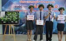 Ý tưởng xanh thắng thế