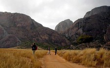 Madagascar: rừng được cứu nhờ du lịch sinh thái