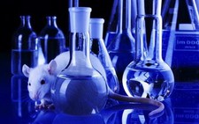 Tìm lại ánh sáng cho người mù