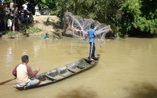 Cả trăm người tìm bắt cá 