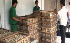 Bắt giữ xe tải chở 97.500 trứng cút 