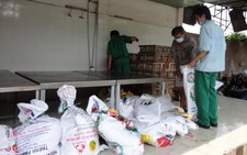Tiêu hủy 97.500 quả trứng cút lậu