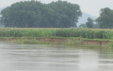 Hàng nghìn hộ dân lo vỡ đê sông Mã