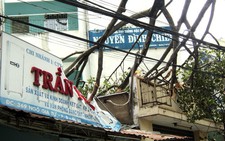 Cây gãy nhánh đè bẹp biển quảng cáo