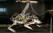 Robot báo chạy nhanh hơn cả Usain Bolt