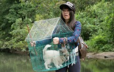 Xuân Nghi về nước đóng phim