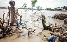 Báo động sạt lở đê biển Tây