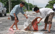 Tiền Giang: dân lại vá quốc lộ 50