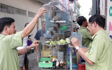 Giải cứu động vật quý hiếm