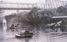 Triển lãm 