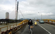 Cầu Nguyễn Văn Trỗi: 