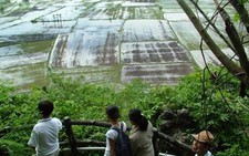 Du lịch 