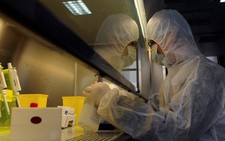 Triệu chứng lây nhiễm H7N9? Miễn nhiễm cách nào?
