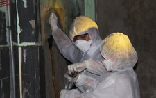 Khó ngăn ngừa dịch cúm H5N1 trên chim yến nuôi