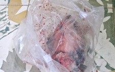 Vỡ nợ 47 tỉ đồng, một cán bộ cục thuế bỏ trốn