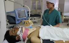 Bị đánh vì không chịu kéo cày, bò húc chủ bất tỉnh