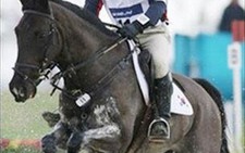 Asiad 15: Một kỵ sĩ tử nạn