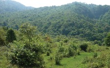 Phát hiện loài 