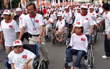 Chương trình đi bộ vì nạn nhân da cam