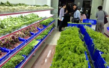Bí quyết chọn rau quả tươi