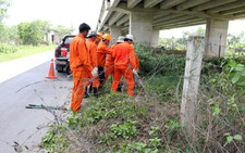 Cắt hàng rào đường cao tốc TP.HCM - Trung Lương