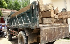 Bắt một xe chở gỗ lậu sau khi truy đuổi hơn 20km