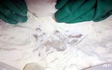 Philippines phá đường dây buôn 200 kg ma túy đá methamphetamine