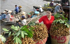 Lễ 2-9, du lịch miền Tây mùa 