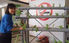 Mô hình trồng rau thủy canh đoạt giải nhất