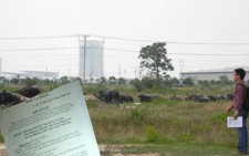 Ông Huỳnh Uy Dũng 