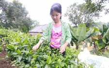 Chương trình 