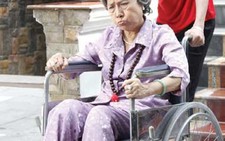 Giả gái làm người giúp việc