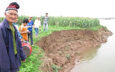 Dân dàn trận chiến đấu 