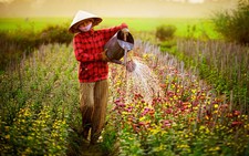 Cuốn sổ chi tiêu ngày tết của mẹ