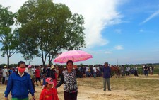 Đua ngựa phong trào 