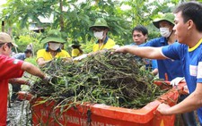 Năm thanh niên tình nguyện 2014