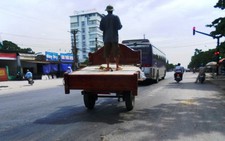 Xe ngựa kéo 
