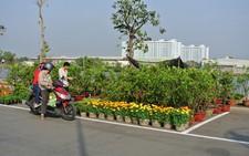 Satra miễn phí cho nhà vườn