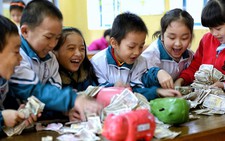 Mổ heo đất