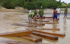 Thu giữ nhiều gỗ lậu trên Sông Cái