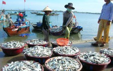 Khánh Hòa hạn chế khai thác hải sản ven bờ