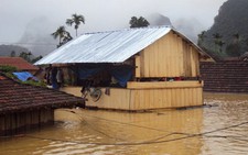 Triển lãm nhà nổi