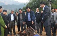 Tang tóc dưới cầu treo gãy đổ