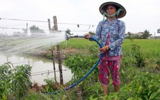 Xóa quy hoạch 