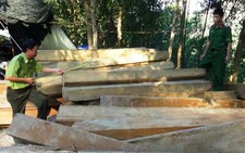 Chặn đường bộ, gỗ lậu đi đường sông