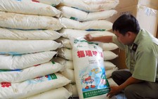 Tạm giữ 4 tấn bột ngọt Trung Quốc không có hạn sử dụng